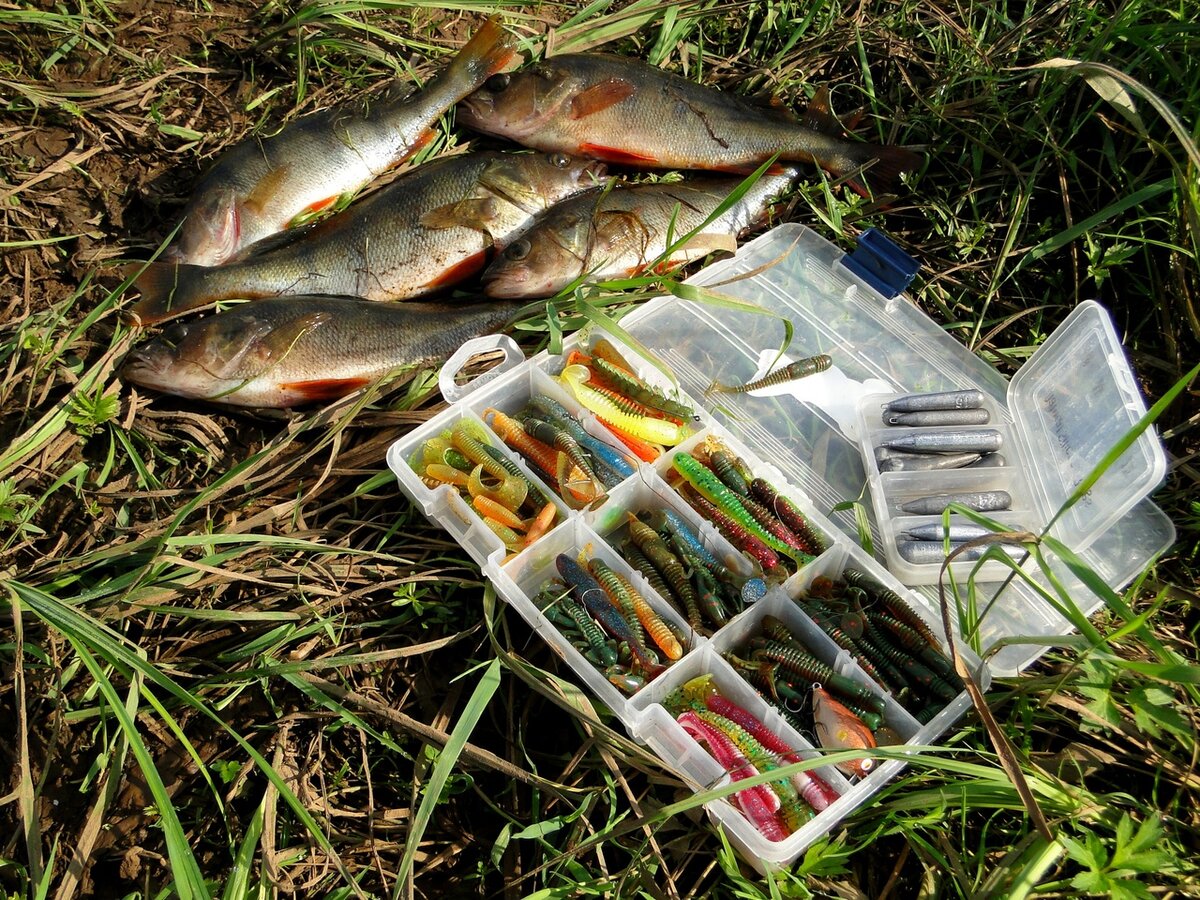 Чтобы наловить окуня, по факту из всей этой коробочки достаточно двух видов приманок и пары цветов, но нет... Покупаешь и покупаешь ((