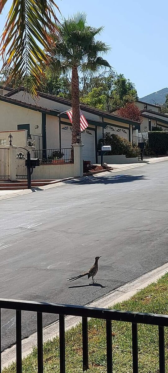 Фото из личного архива автора. 