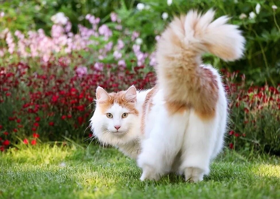 Фотография взята из открытого источника