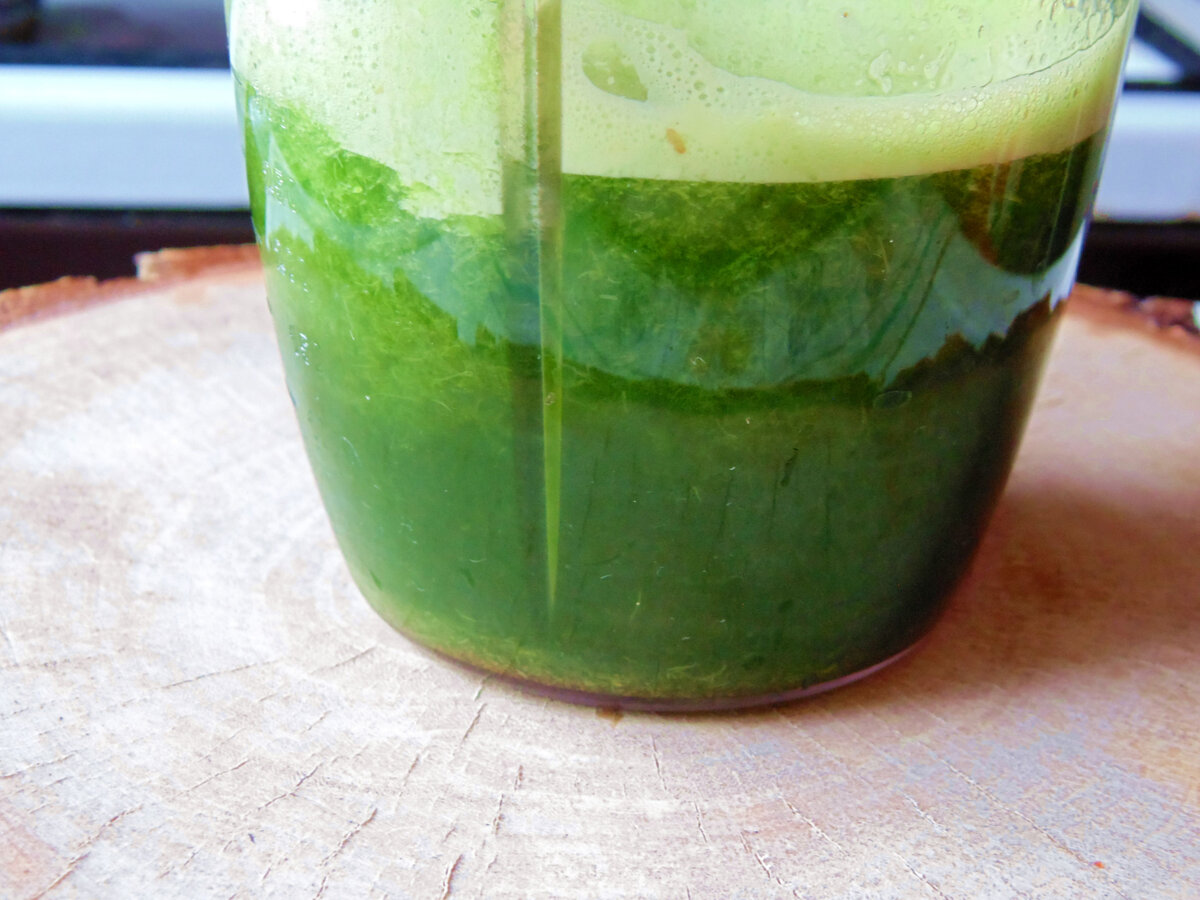 Хвойный фитонцидный коктейль