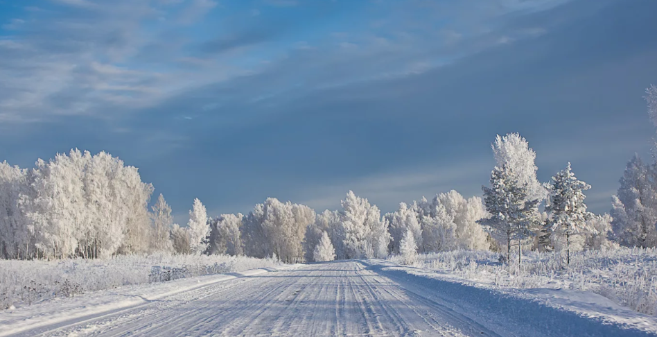 photoclub.by. Фото с Яндекса. Зима.