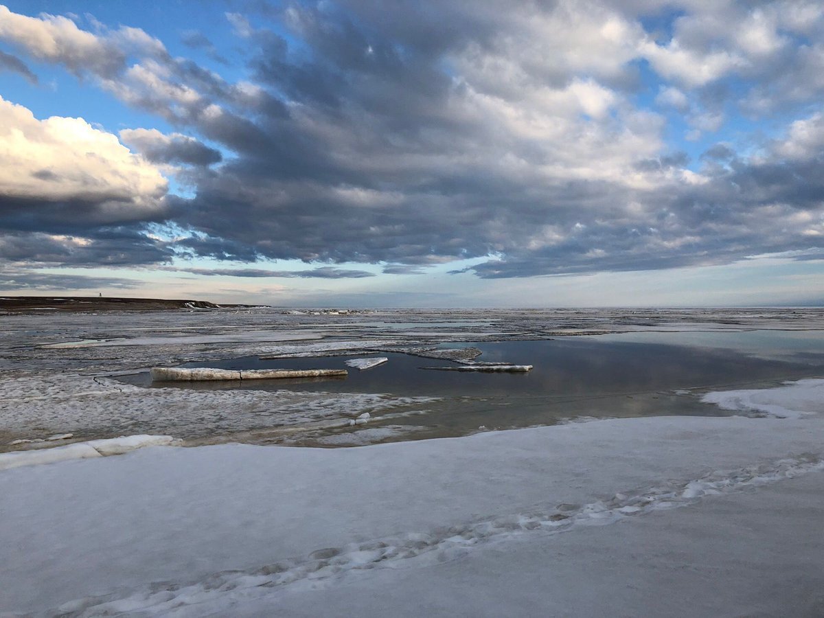 Полуостров карского моря обской губой. Карское море Обская губа. Полуостров Ямал Обская губа. Обская и Тазовская губа. Река Обь Обская губа.