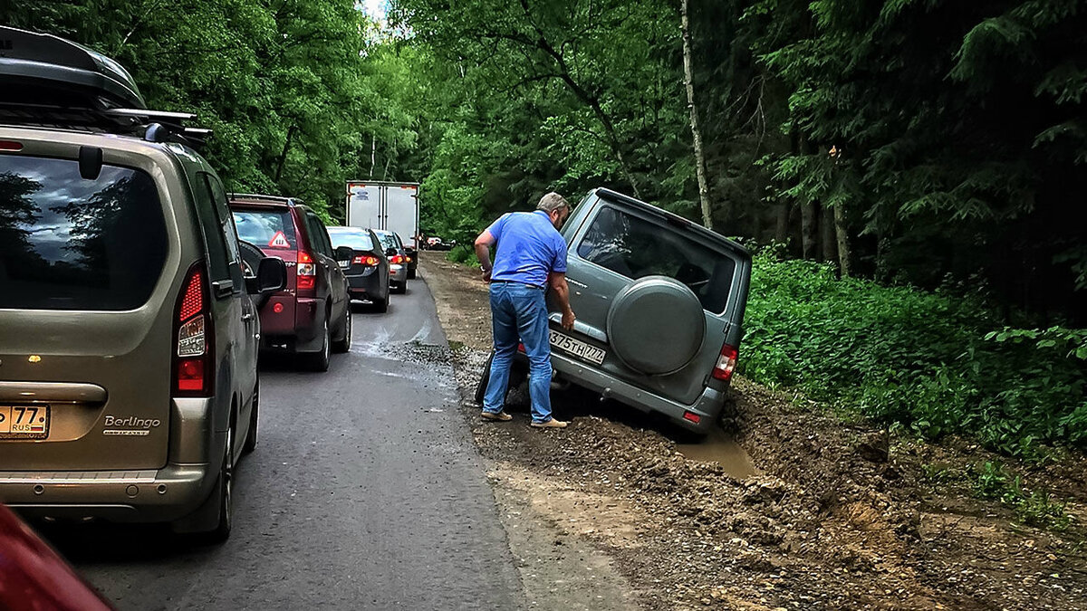 Заезд автотранспорта в лес