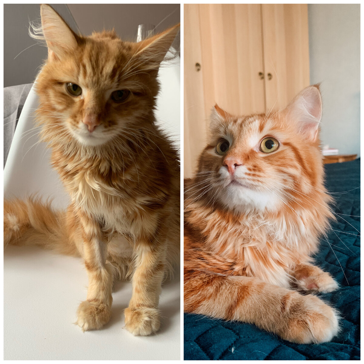 Во время болезни и после