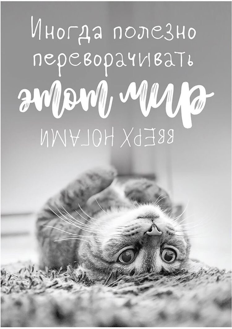 Источник Pinterest 