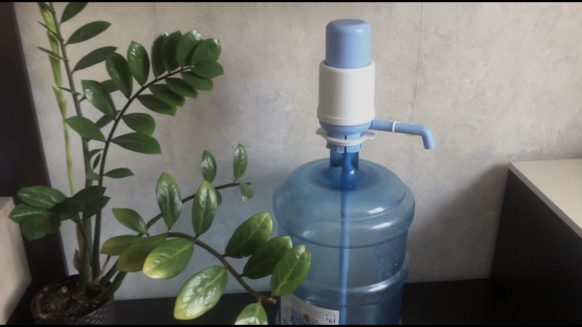 Фото автора канала