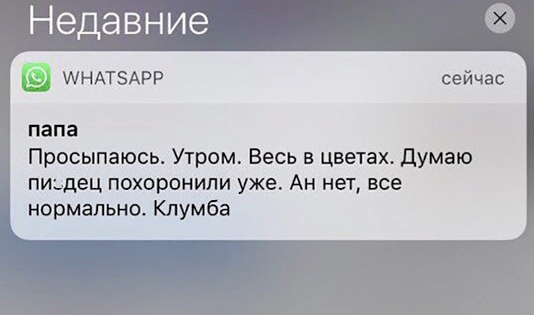 Приколы картинки на ватсап на