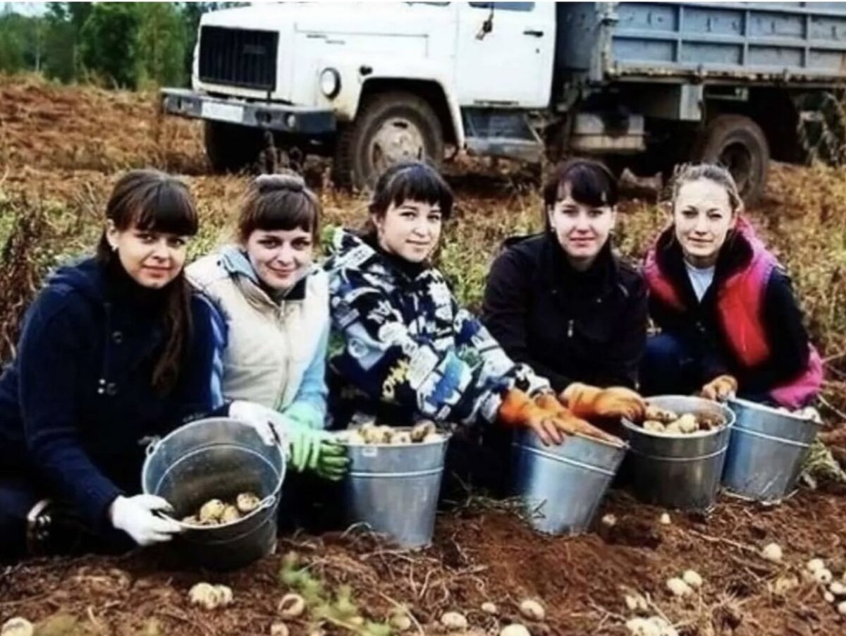 Когда был школьником, даже  нравилось ездить в «колхоз». Конечно, не ради того, чтобы копаться в грязи, выуживая картофелины - интересовали сугубо побочные эффекты: костёр, печёная картошка, покурить.