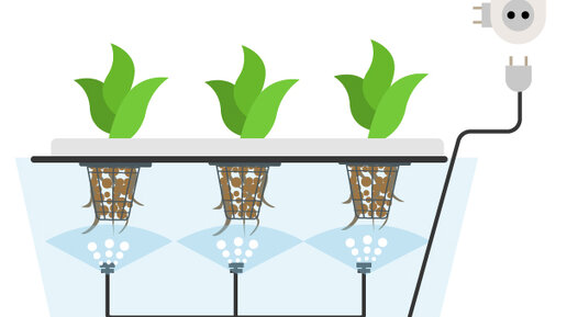Самодельная гидропоника: как это работает + как сделать установку для выращивания