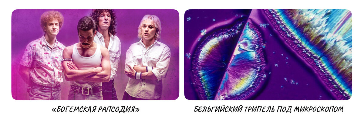 ЧТО СКРЫВАЕТ КАПЛЯ ПЕННОГО?