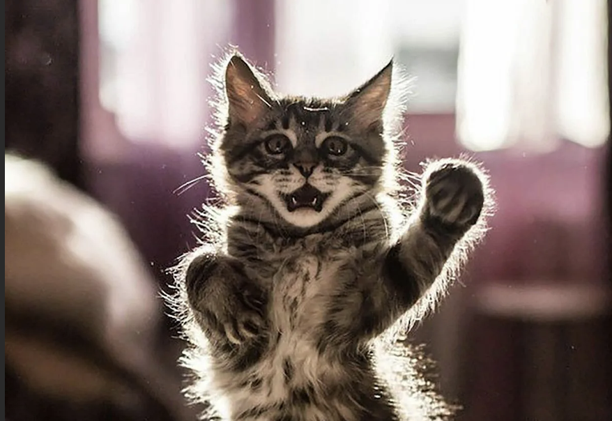 фото из сети