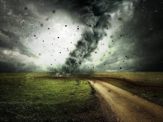    Фото: pixabay.com