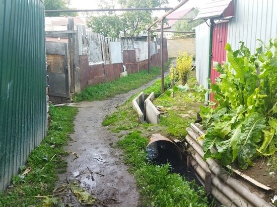     фото: Евгений Кузнецов