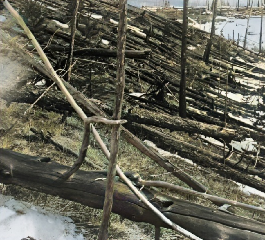 Катастрофические масштабы взрыва Тунгусского метеорита. Почему России повезло?