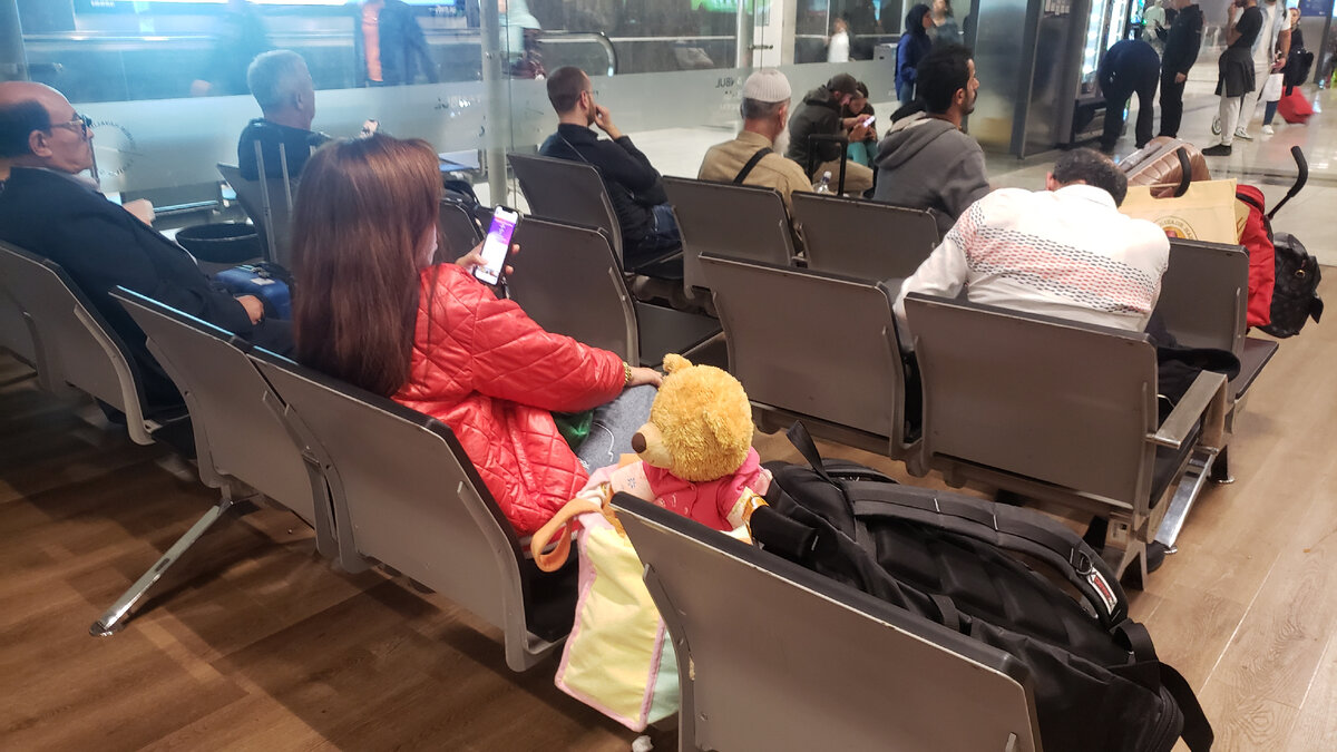 Даже плюшевый медведь не хочет в Северную Корею!