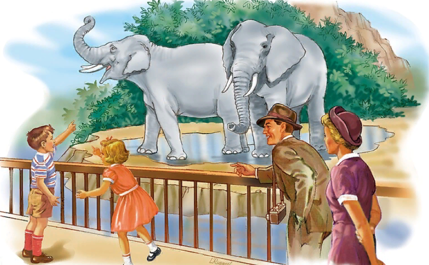 Лучше сходите с детьми в зоопарк вместо уборки