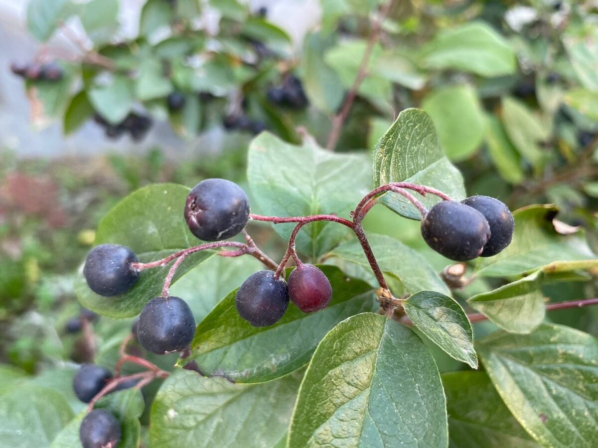 Осень, личное