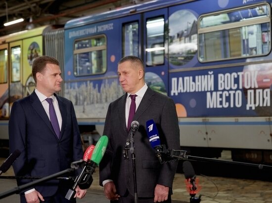     Фото: пресс-служба Минвостокразвития РФ