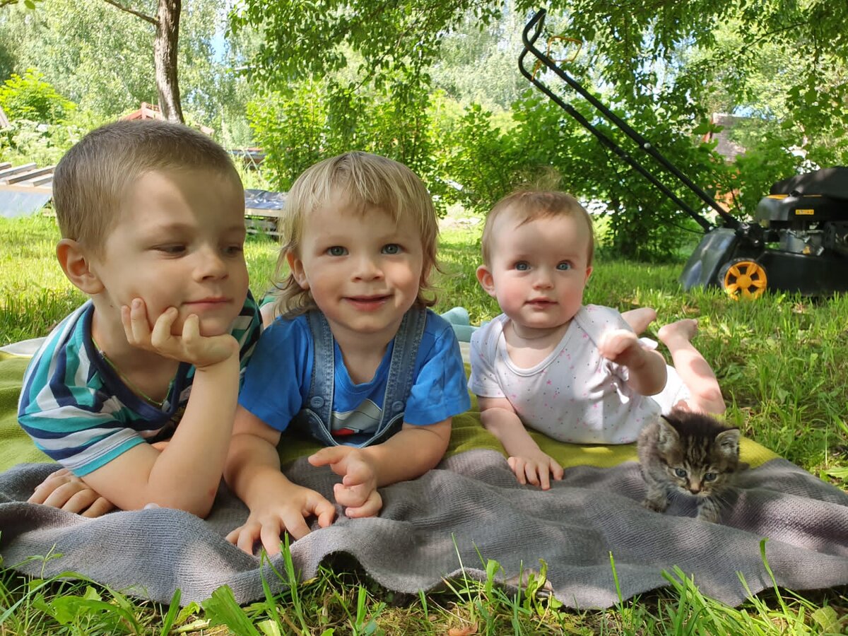 Макар, Федя, Варя и Бейонсе в период ее кошачьего младенчества