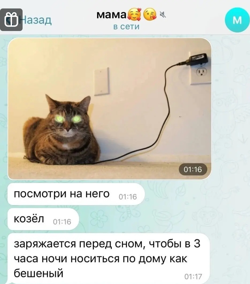 Фото из открытых источников в интернете