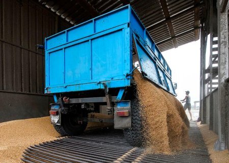    Польша намерена продлить запрет импорта зерна с Украины, несмотря на угрозу санкций
