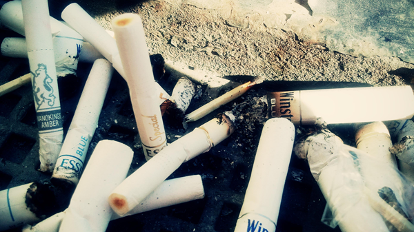 9. Лидер в мусорном ведре