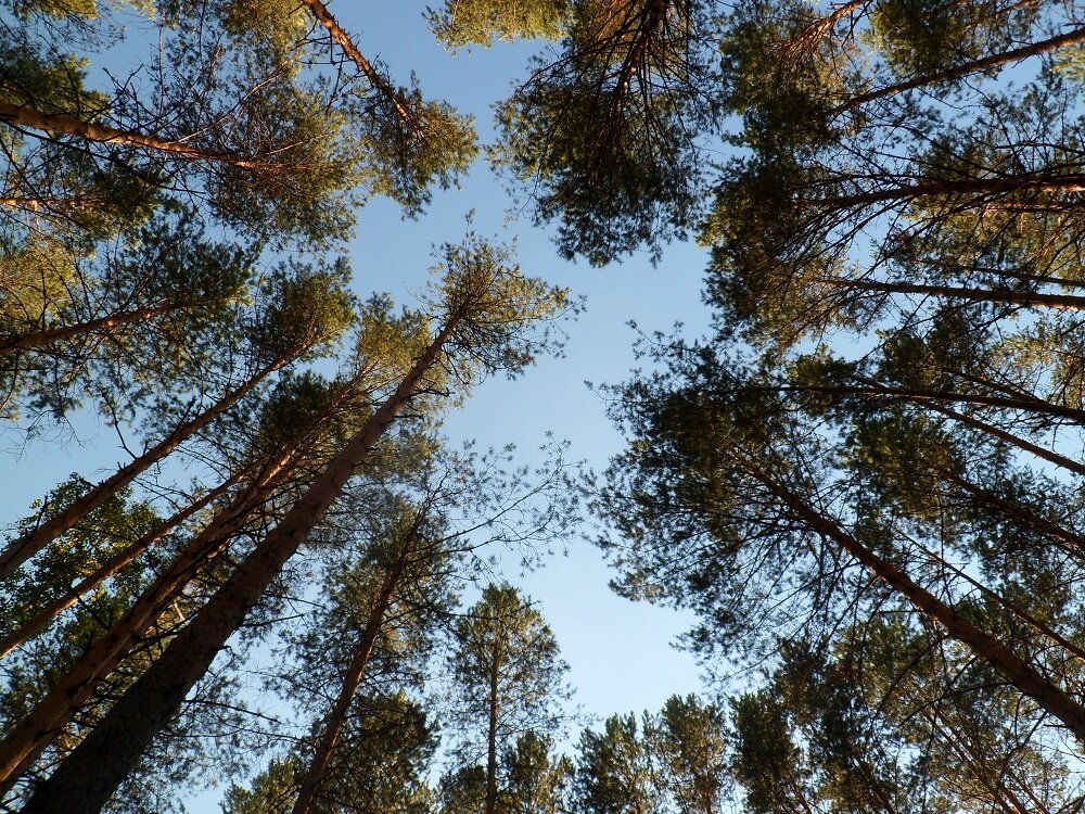 фото: UfacityNews.ru
