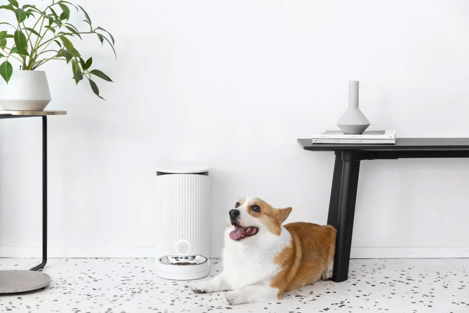 Фото с Tomsk.ru 