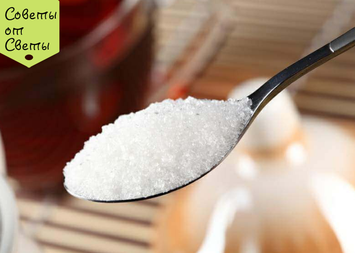 Фото из открытых источников интернета