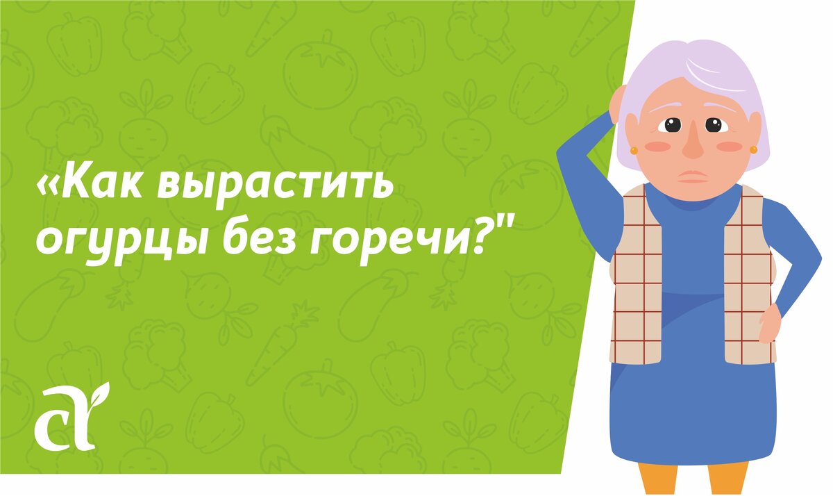 «Почему плоды горчат и возможно ли вырастить урожай без горечи?», – сокрушается дачница. 