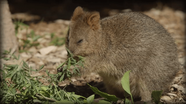 Когда услышала, что кто то опять фоткает