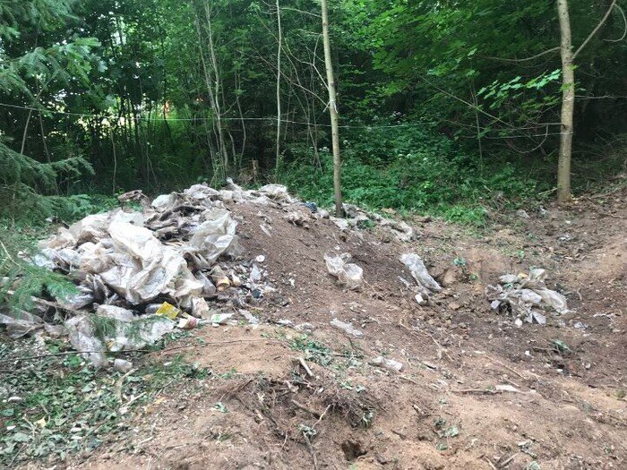 источник фото https://pikabu.ru