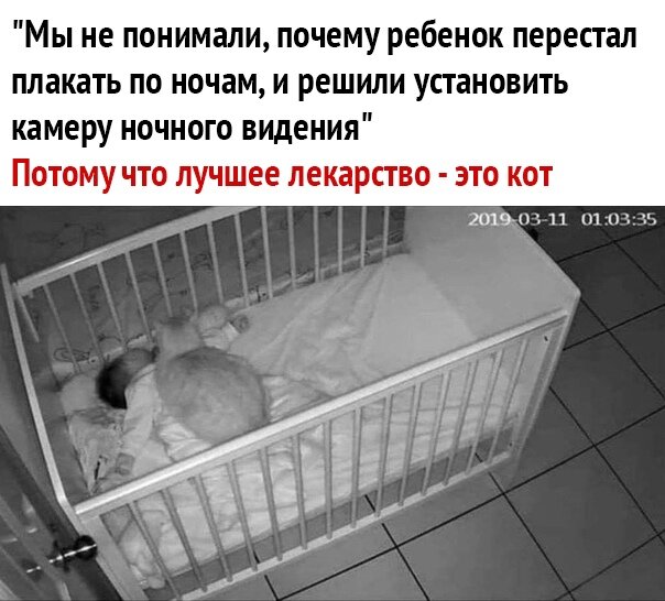 Яндекс картинки