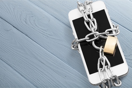 фотография взята с сайта https://pixabay.com/