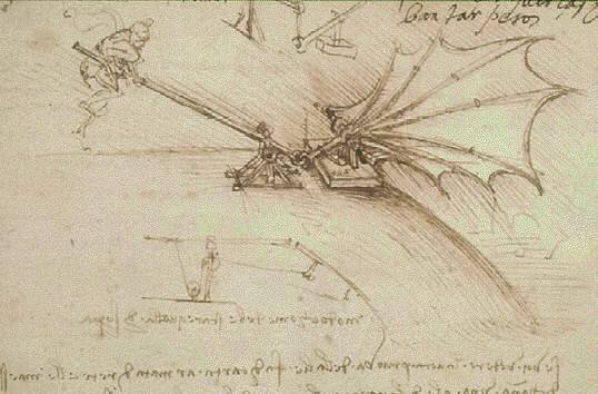 Тест для крыла орнитоптера.