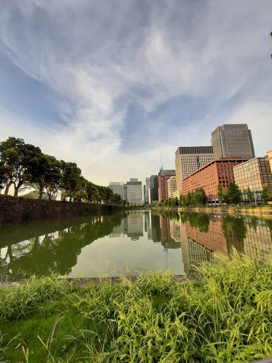 Фото принадлежит автору статьи