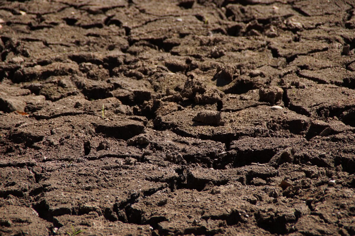 https://get.pxhere.com/photo/landscape-nature-field-texture-asphalt-dry-green-soil-cracked-rubble-earth-engine-hope-drought-dehydrated-geological-phenomenon-769037.jpg