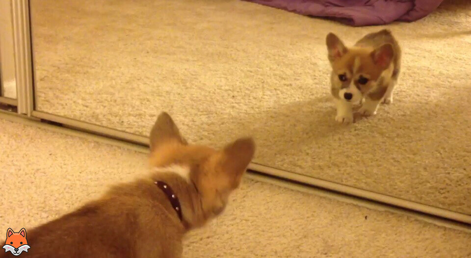 Кто это там?