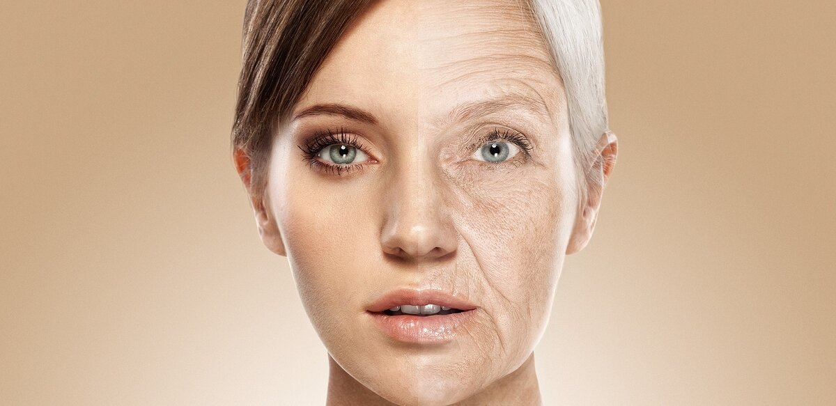 Взято из Яндекс.Картинок