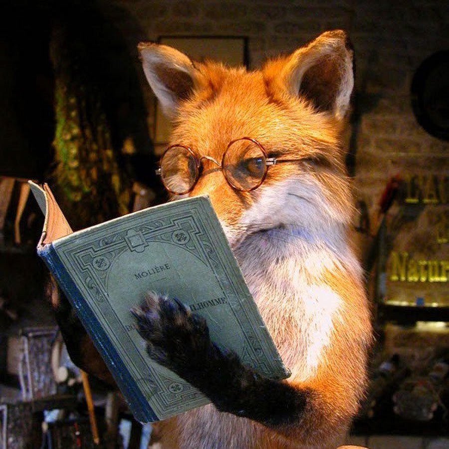 Большой мудрый зверь. Великолепный Мистер Фокс. Лиса в очках. Мудрый Лис. Книги про Лис.