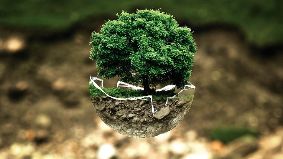 https://cdn.pixabay.com/photo/2015/03/21/10/26/environmental-protection-683437_960_720.jpg