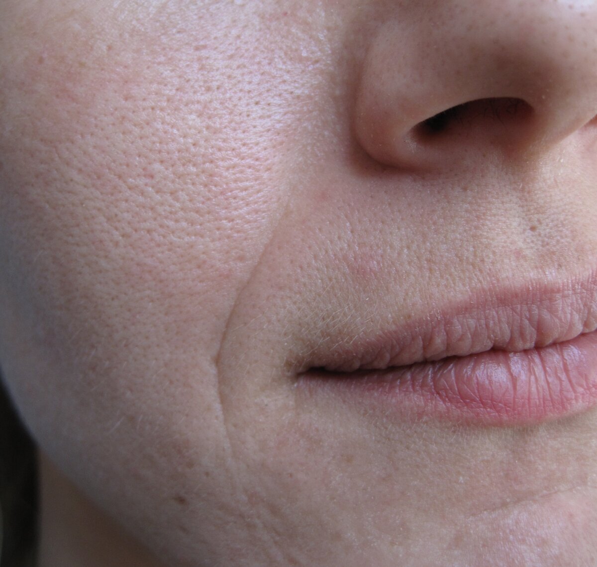 из открытых источников Яндекс