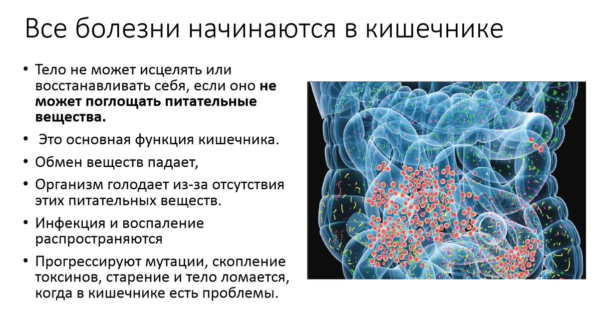 Микробиом иммунитет. Все болезни начинаются в кишечнике. Микробиом человека заболевания. Влияние микробиома на организм человека. Все болезни начинаются в кишечнике Гиппократ.