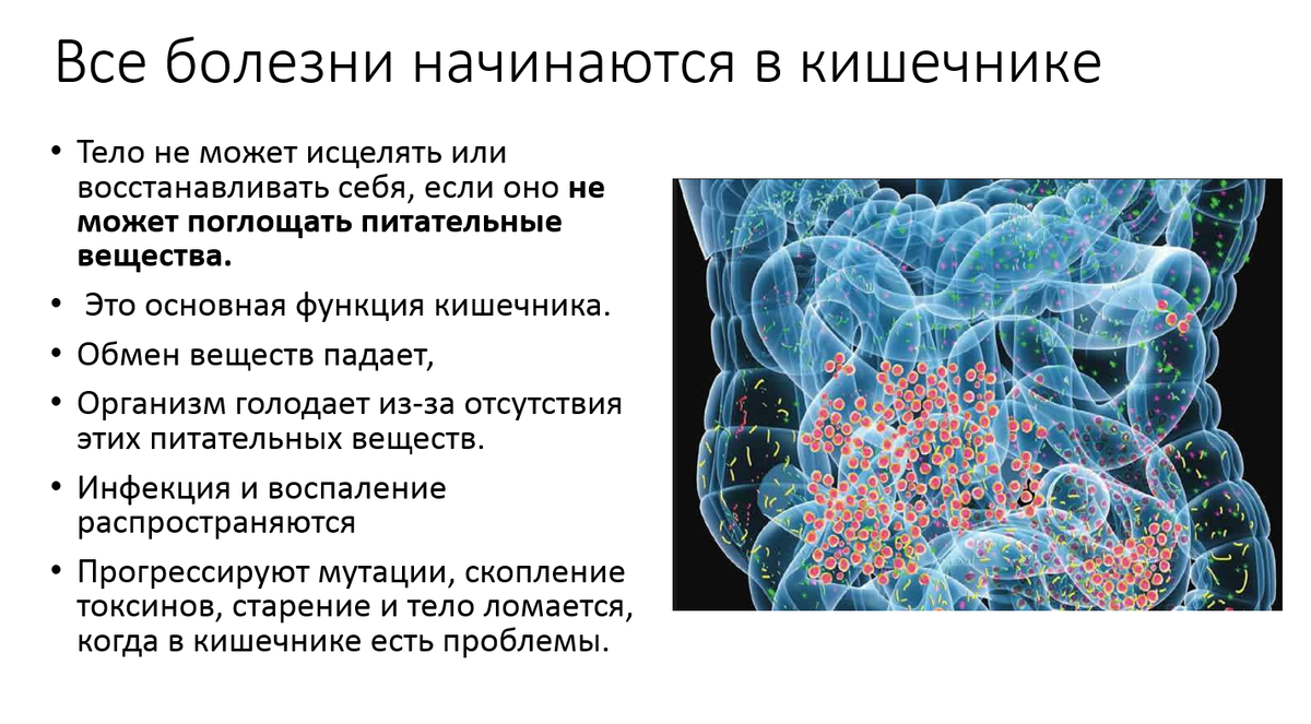 Все болезни начинаются в кишечнике. Все болезни начинаются в кишечнике Гиппократ. Болезнь начинается в кишечнике. Влияние микробиома на здоровье человека.