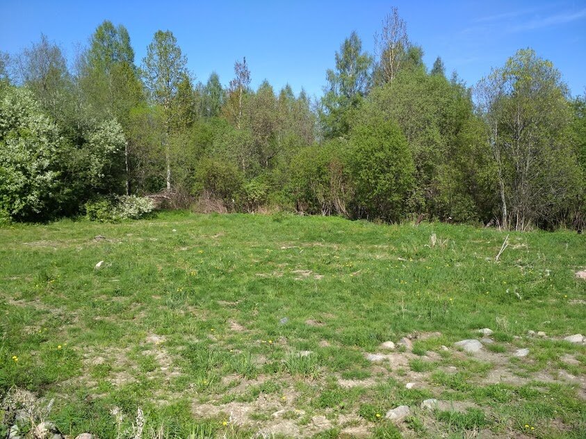 "Поле,русское поле... " голое,каменистое плато-до поля ещё очень далеко...))) фото автора.
