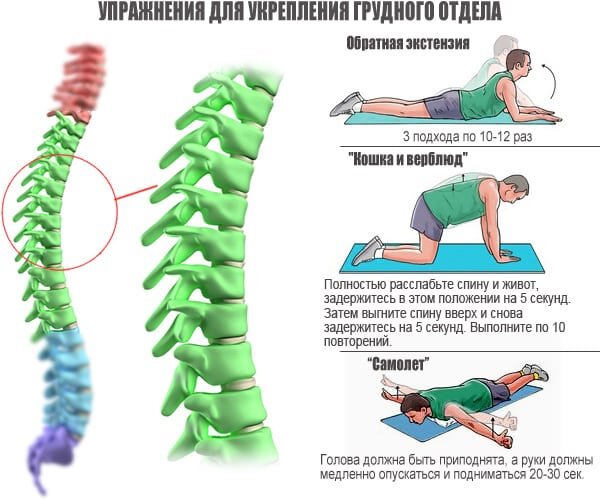 ЛФК при грудном остеохондрозе: основные упражнения