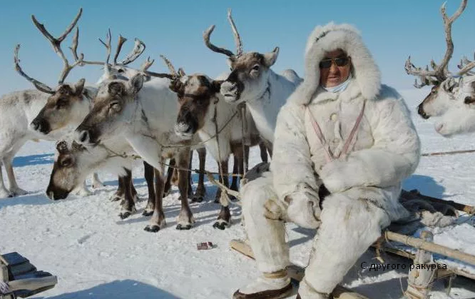 Изображение из открытого источника yandex.ru/images