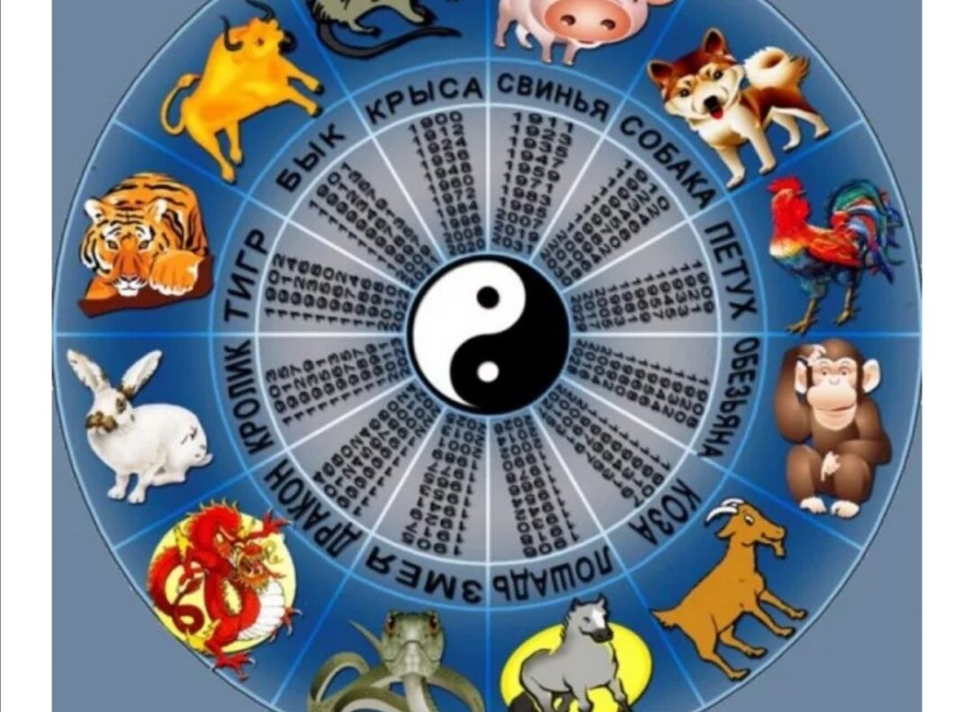 зодиакальный круг животных. животные китайского календаря. год животных по годам. знаки зодиака по годам китайский календарь 2022 года. календарь годов по животным таблица китай.