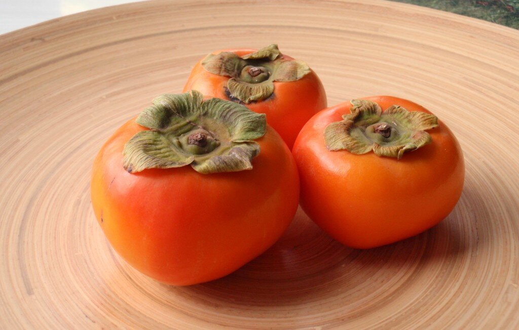 Фото взято из: Яндекс картинки