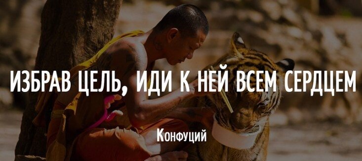 Конфунций: Избрав цель, иди к ней всем сердцем
